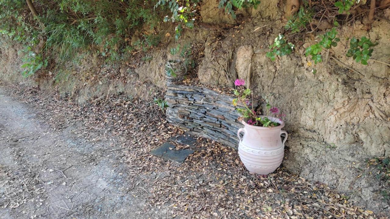 Aiolos Kalamaki  エクステリア 写真
