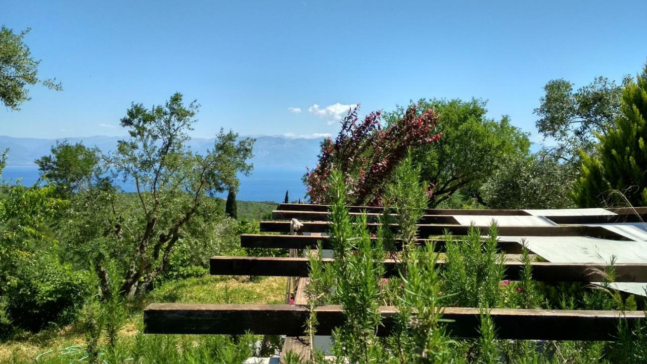 Aiolos Kalamaki  エクステリア 写真